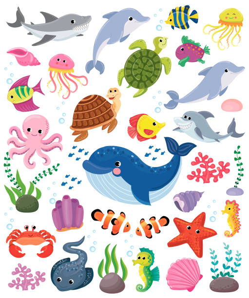 illustrazioni stock, clip art, cartoni animati e icone di tendenza di grande set di animali marini - happy dolphin