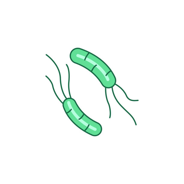 ヘリコバクターピロリ菌のアイコン。高品質のカラーベクターイラスト。 - pylori点のイラスト素材／クリップアート素材／マンガ素材／アイコン素材