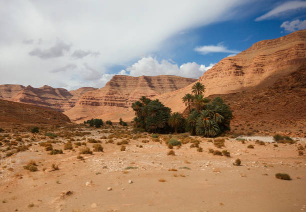 Dry land, sand mountains and palm trees in Erfoud Erfoud, Morocco-September 24, 2013: Dry land, sand mountains and palm trees in Erfoud. morocco landscape stock pictures, royalty-free photos & images