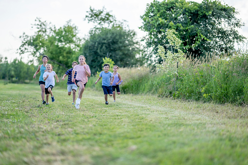 A small group of six children are seen running a Cross Country race in a small pack together.  They are each wearing comfortable athletic wear and are focused on the path as they run towards the finish line.