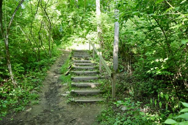 istock Old Wood Stairs on the Trail 1408254769