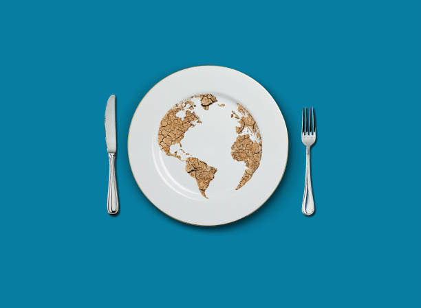concetto di crisi alimentare mondiale - plate changing foto e immagini stock