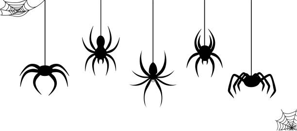 черные пауки висят на паутине. используется для печати, плакатов, печатного шаблона. ознакомьтесь с другими узорами пауков в моей коллекции - silhouette spider tarantula backgrounds stock illustrations