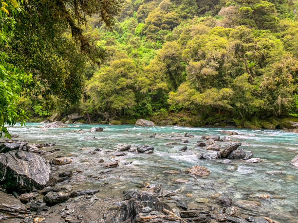istock Haast River view, Haast, New Zealand 1408264520