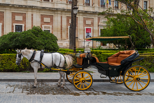 Seville, Spain -- May 15, 2022. A wide angle horizontal photo of a horse drawn carriage standing alone in Plaza Nuevo, Seville.