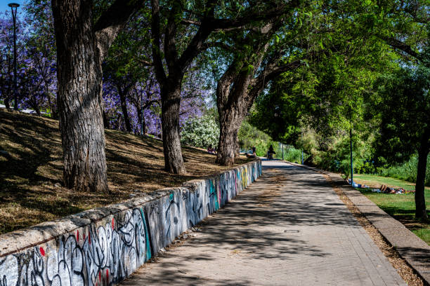 Seville, Spain -- May 22, 2022. Photo of a walking trail by the Guadalquivir River in Seville, Spain.