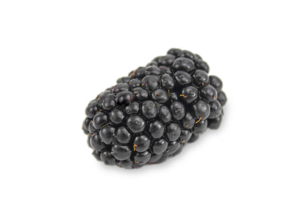 Ripe blueberries isolated on white background. Macrophotography. Ripe berries.