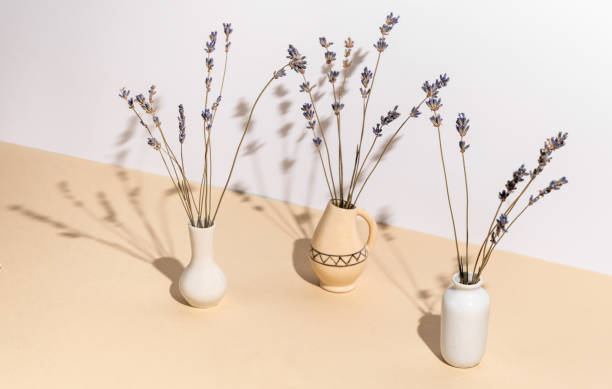 istock Three small ceramic vases with stalks of lavender. Minimalistic natural decoration 1408268620