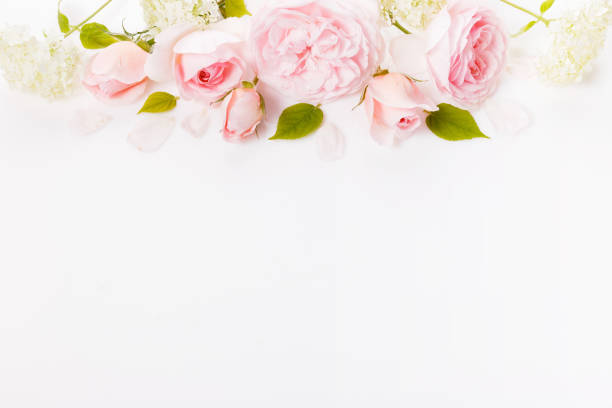 istock Festive flower composition on the white wooden background. Overhead view 1408268818