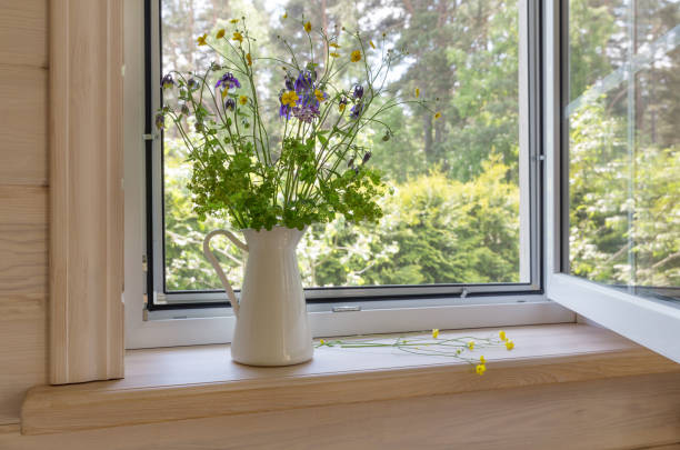istock White window with mosuito net in a rustic wooden house 1408268963