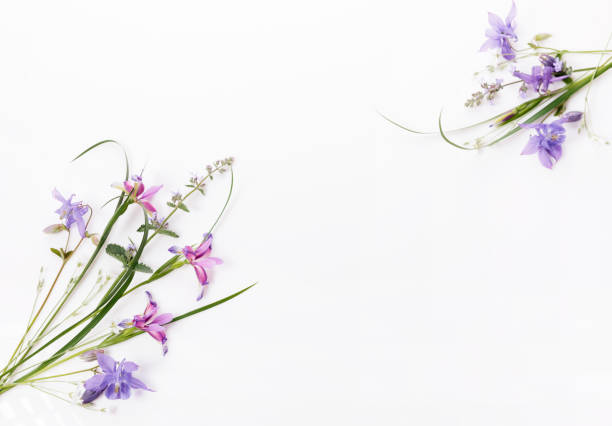 istock Flowers composition. Purple and blue flowers on white background. Spring, summer, easter, birthday concept. 1408268967