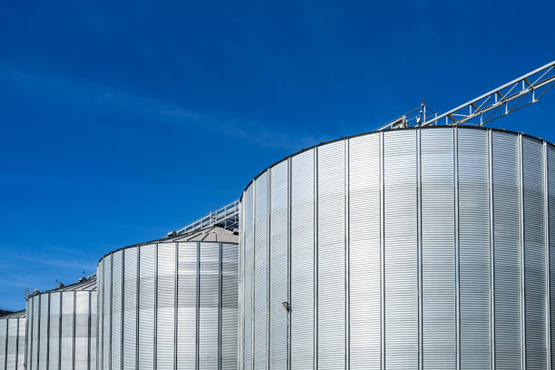 istock Huge grain storage silos seen at an agricultural processing complex against a near clear blue sky. 1408273637