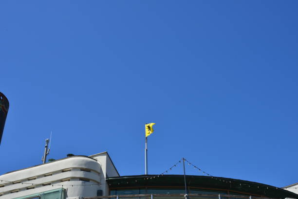 11 juillet blankenberge symbole jaune noir flamand - flag flanders medieval lion photos et images de collection