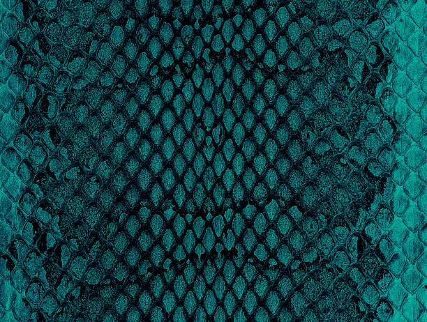 istock Dark snake skin texture, as background. Natural reptile leather. 1408274810