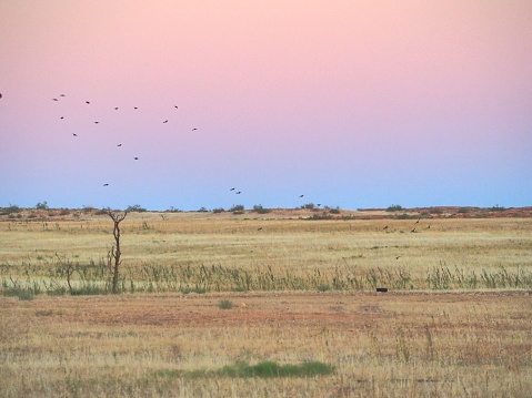 Landscape in Namib-Naukluft national Park, Namibia