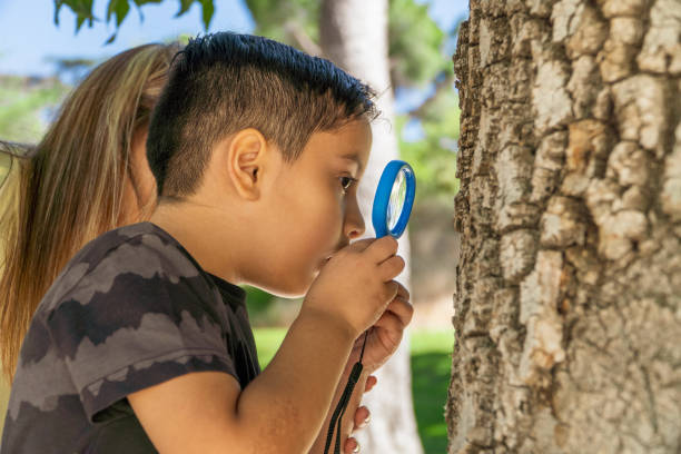 istock latin boy looking a tree trunk with a magnifying glass 1408277213