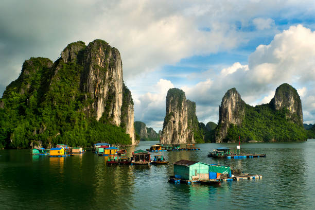 Floating fishing village and rock island in Halong Bay, Vietnam, Southeast Asia. UNESCO World Heritage Site. Junk boat cruise to Ha Long Bay. Landscape. Popular landmark, famous destination of Vietnam pueblo pesquero flotante e isla de roca en la bahía de halong, vietnam, sudeste asiático. patrimonio de la humanidad por la unesco. crucero en barco chatarra a la bahía de ha long. paisaje. punto de referencia popular, destino famoso de vietnam
