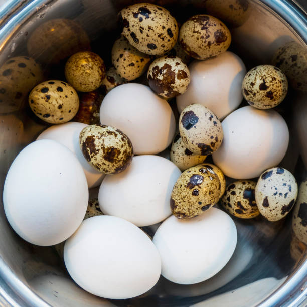 istock Different eggs background. Quail eggs on white dish, There are many sizes and patterns are different. 1408284001
