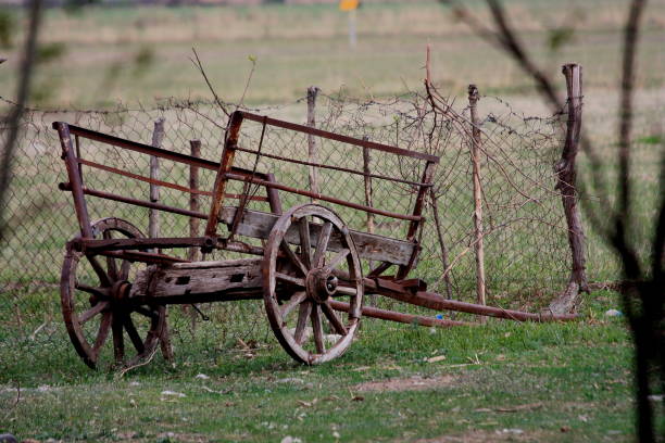 istock antique cart 1408287216