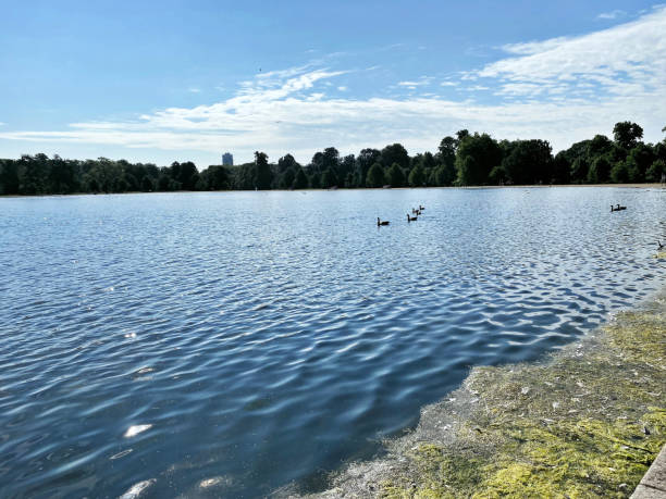 istock A view of Kensington Park 1408290368
