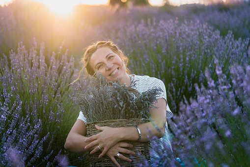 Beautiful woman harvesting lavender, basket on her hand.