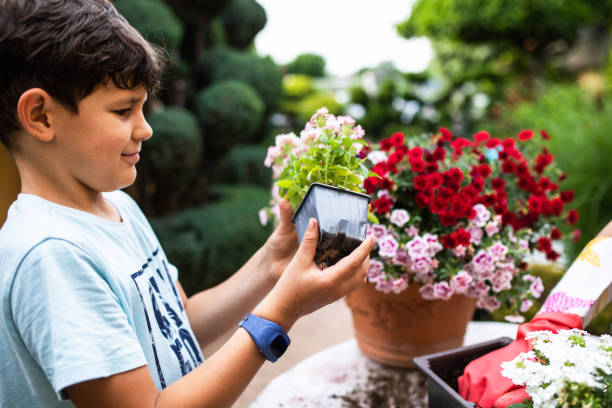 istock Planting flowers 1408292747