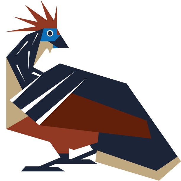 Colorful minimalistic illustration of a species of bird. Colorful minimalistic illustration of a species of bird. hoatzin stock illustrations