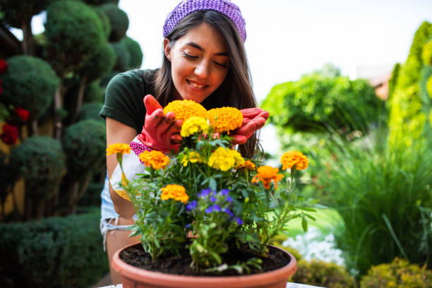 istock Flowers give me joy 1408292864