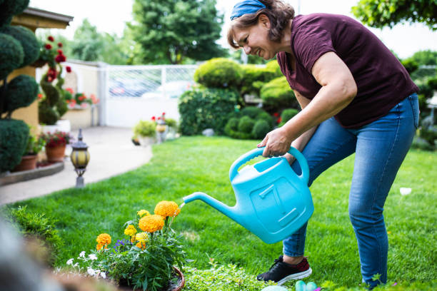 istock Watering garden plants 1408292898