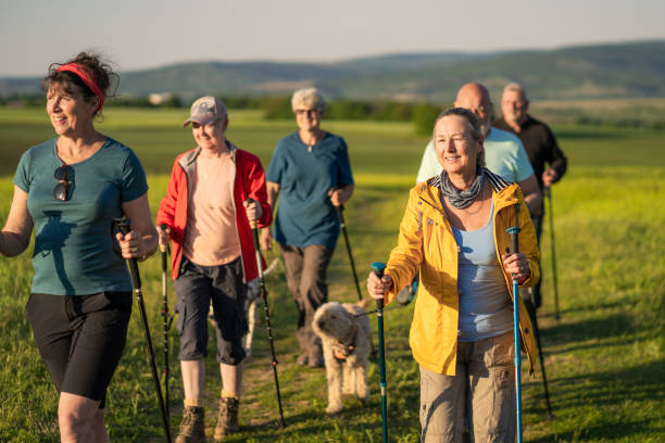 Senior friends and their dogs trekking in the country stock photo