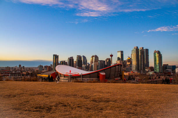 parco per cani di calgary stampede grounds - scotiabank saddledome foto e immagini stock