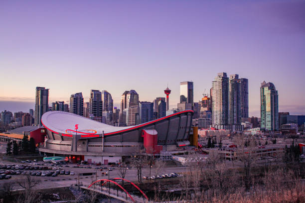 calgary roxo claro - scotiabank saddledome - fotografias e filmes do acervo