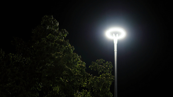 Green tree on background of lantern at night. Stock footage. Top of tree swings in light breeze on background of glowing lantern on summer night.