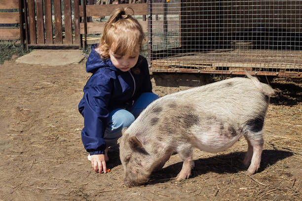 istock children take care of pets 1408297001