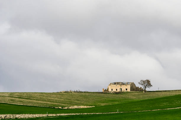 istock Rural farmhouse in the cereal fields in Granada - Spain. 1408297621