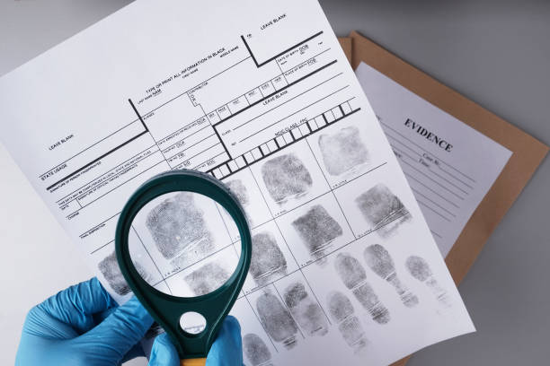 Criminalist in blue gloves examines fingerprint cards Criminalist in blue gloves examines fingerprint cards with magnifying glass close-up prison card photos stock pictures, royalty-free photos & images
