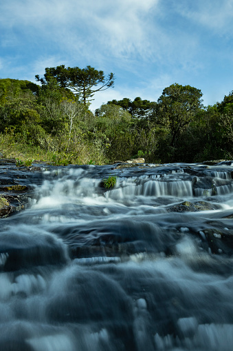 A water stream hidden on the mountains at the Serra Catarinense