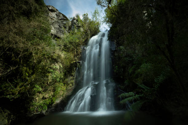 istock The sounds of nature 1408299754