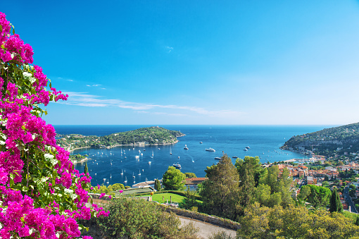 Mediterranean sea panoramic view. Summer vacation background with rhododendron flowers