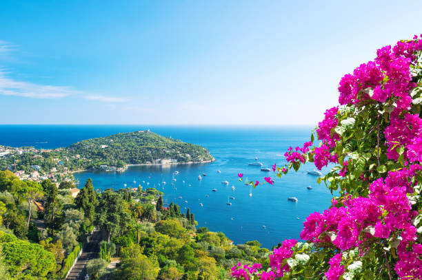 Mediterranean sea landscape Summer holidays background rhododendron flowers stock photo