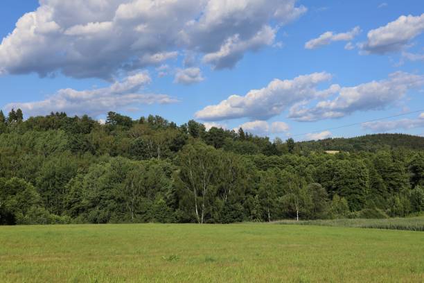 istock Beautiful summer Day in Nature 1408309595