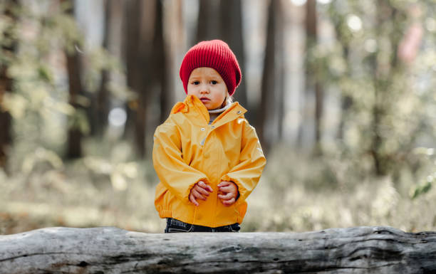 istock Little girl walking in the forest 1408309682
