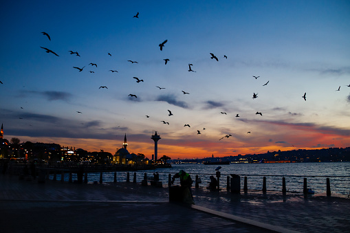 The sunset creates a visual feast with birds in Üsküdar square.