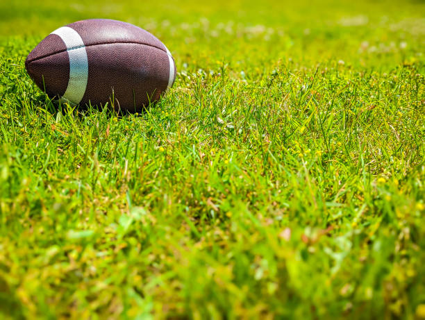 istock Football Field 1408311641