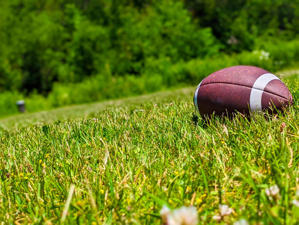 istock Football in a Field 1408311649