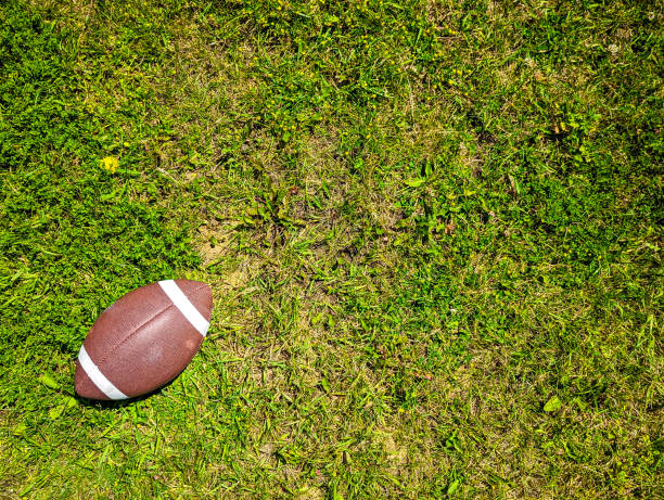 istock Football Field 1408311692