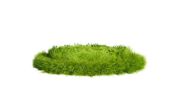 istock Grass podium, isolated on a white background. Grass circle, 3d rendering. 1408311750