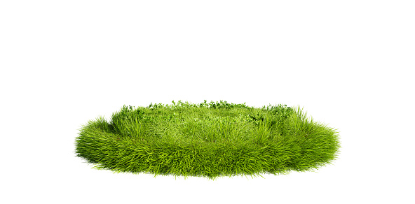 Grass podium, isolated on a white background. Grass circle, 3d rendering.