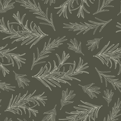 Rosemary seamless pattern on dark green background