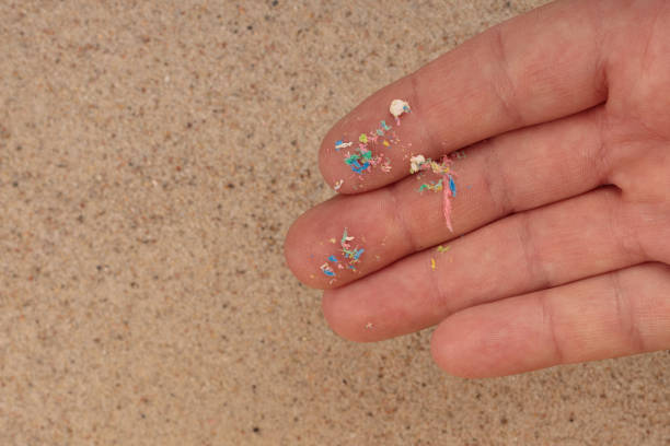 istock Micro plastic on the palm of your hand, top view of the beach. An environmental problem. 1408314882